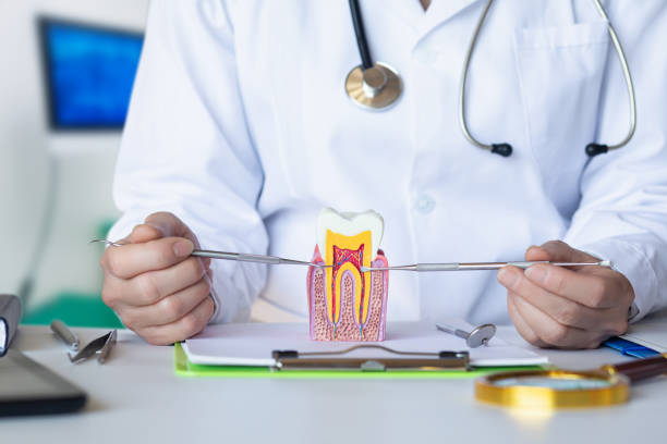 Best Emergency Treatment for Dental Infections or Abscesses in La Fayette, AL